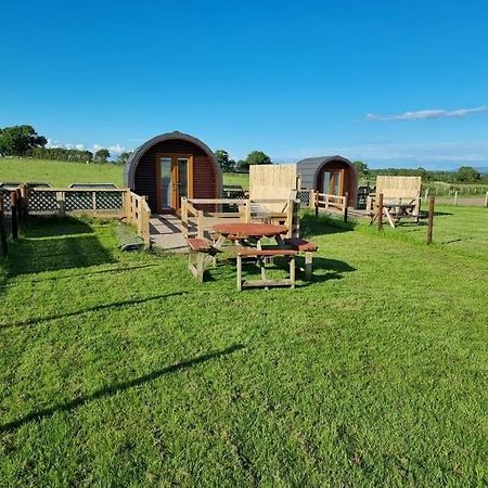 Unit 4 - Skiddaw View Camping Pod Carlisle  Ngoại thất bức ảnh